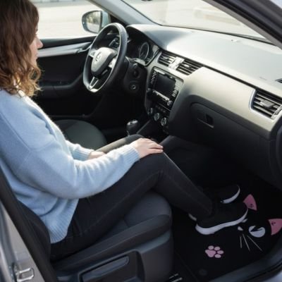 Tapis de voiture 